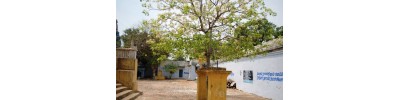 117. திருஅம்பர் - பெருந்திருக்கோயில்